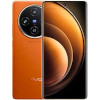 Vivo X100