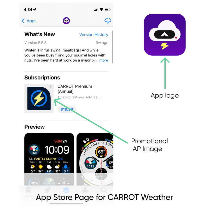 carrot weather ios app subscription